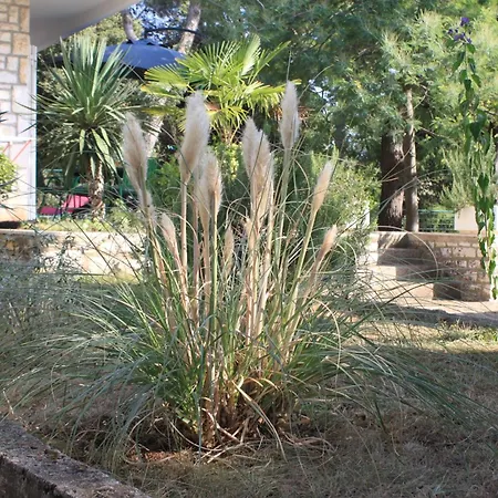 Apartment With A Parking Space - 7145